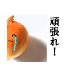 【実写】泣きのタマネギ（個別スタンプ：15）