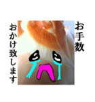 【実写】泣きのタマネギ（個別スタンプ：32）