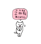 韓国語ネコさん（個別スタンプ：13）