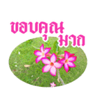 Happy New Year flower Greetings（個別スタンプ：6）