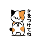 ミケとトラ(よく使うかも？)（個別スタンプ：31）
