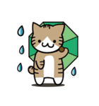 ミケとトラ(よく使うかも？)（個別スタンプ：38）