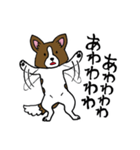 パピヨンのハル（個別スタンプ：2）