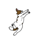 パピヨンのハル（個別スタンプ：6）