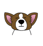 パピヨンのハル（個別スタンプ：7）