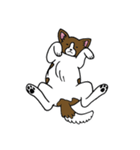 パピヨンのハル（個別スタンプ：8）