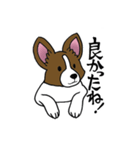 パピヨンのハル（個別スタンプ：17）