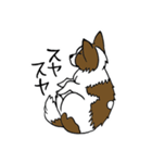 パピヨンのハル（個別スタンプ：18）