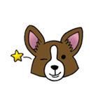 パピヨンのハル（個別スタンプ：20）
