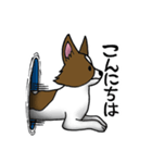 パピヨンのハル（個別スタンプ：33）
