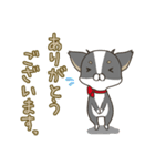 ちわ犬3（個別スタンプ：8）