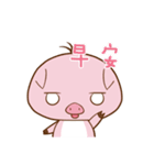 Night pig（個別スタンプ：12）