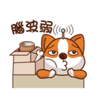 コーギーCOCO（個別スタンプ：3）