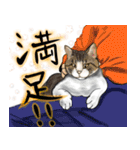 毛並みCats（個別スタンプ：7）