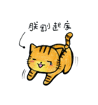 ORECAT I'm a cat _ everyday（個別スタンプ：24）