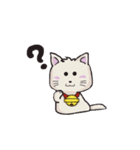 whit cat（個別スタンプ：4）