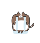 Rely on cat to cat dialog box（個別スタンプ：12）