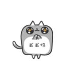 Rely on cat to cat dialog box（個別スタンプ：14）