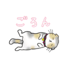 平井家のスタンプ（個別スタンプ：5）