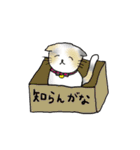 平井家のスタンプ（個別スタンプ：22）