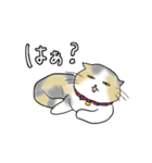 平井家のスタンプ（個別スタンプ：31）