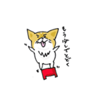 コーギーのあんこ（個別スタンプ：2）