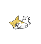 コーギーのあんこ（個別スタンプ：6）