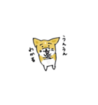 コーギーのあんこ（個別スタンプ：10）