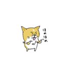 コーギーのあんこ（個別スタンプ：12）
