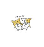 コーギーのあんこ（個別スタンプ：22）