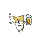 コーギーのあんこ（個別スタンプ：34）