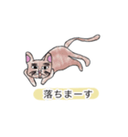 へんな猫。（個別スタンプ：3）