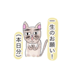 へんな猫。（個別スタンプ：8）