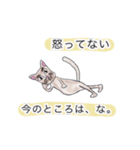 へんな猫。（個別スタンプ：18）