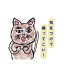 へんな猫。（個別スタンプ：30）
