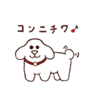 お茶目なワンコのトッコータ（TOKKO@）（個別スタンプ：2）
