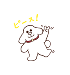 お茶目なワンコのトッコータ（TOKKO@）（個別スタンプ：5）