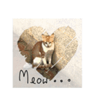 Cats Garden Photography Stickers（個別スタンプ：9）