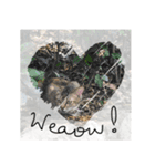 Cats Garden Photography Stickers（個別スタンプ：34）