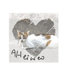 Cats Garden Photography Stickers（個別スタンプ：37）