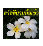 Plumeria of happiness version northeast（個別スタンプ：1）