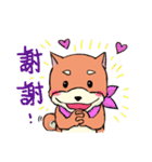 shiba inu wearing a scarf（個別スタンプ：9）