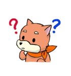shiba inu wearing a scarf（個別スタンプ：10）