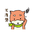 shiba inu wearing a scarf（個別スタンプ：17）