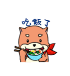 shiba inu wearing a scarf（個別スタンプ：19）