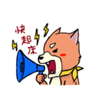shiba inu wearing a scarf（個別スタンプ：20）