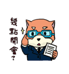 shiba inu wearing a scarf（個別スタンプ：21）