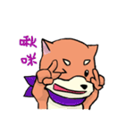 shiba inu wearing a scarf（個別スタンプ：22）