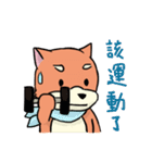 shiba inu wearing a scarf（個別スタンプ：25）