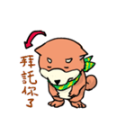 shiba inu wearing a scarf（個別スタンプ：29）